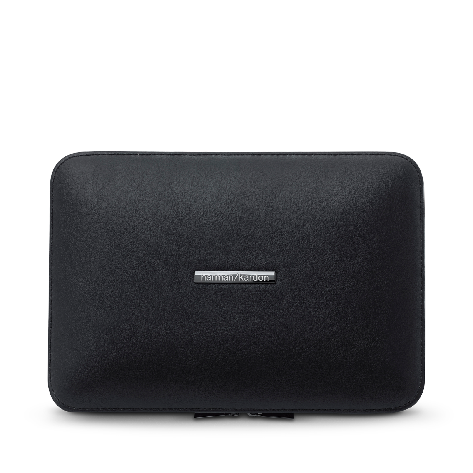 Esquire 2 shop carrying case